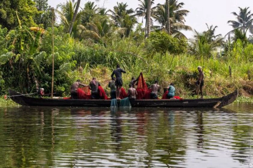 על הביטלס, הודו ונורה ג'ונס