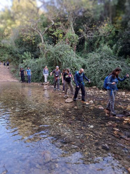 שלכת, לאן את הולכת....?