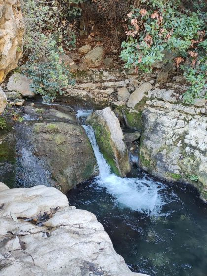 שלכת, לאן את הולכת....?