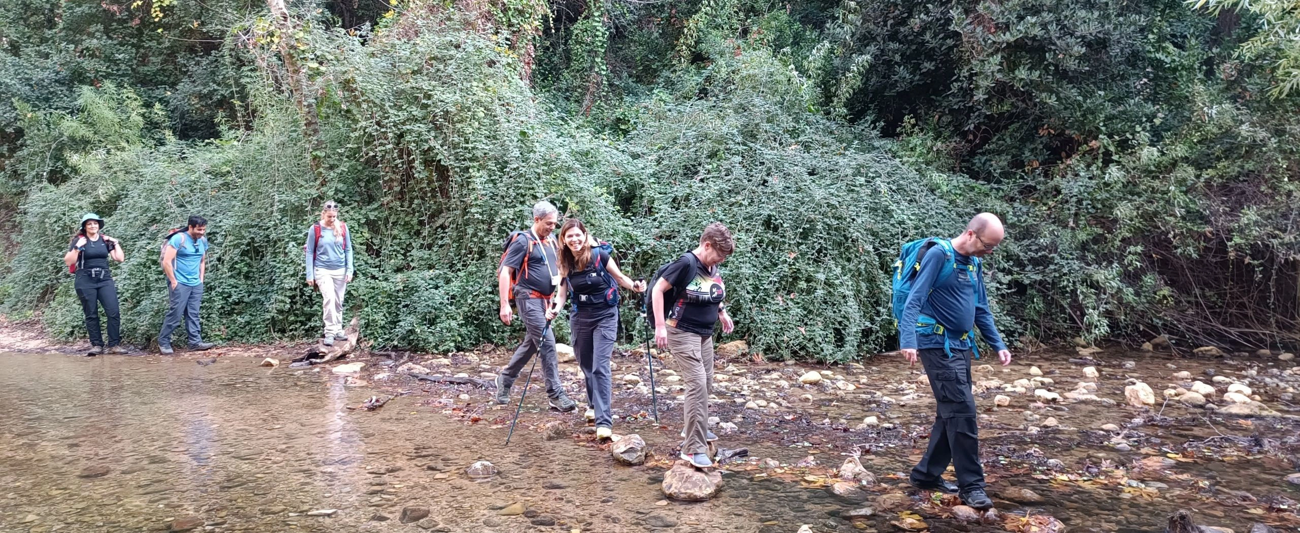 שלכת, לאן את הולכת....?