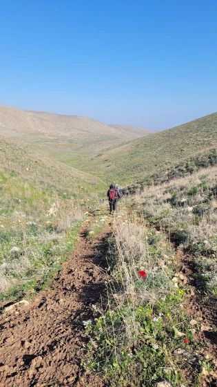 טרק במזרח השומרון- ואדי עוג'ה