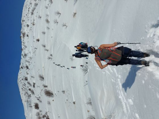 טיפוס לחרמון המושלג