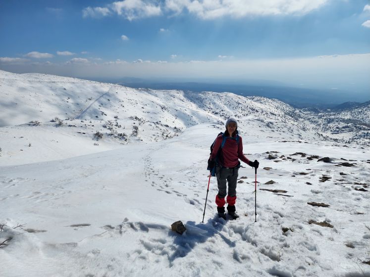 טיפוס לחרמון המושלג
