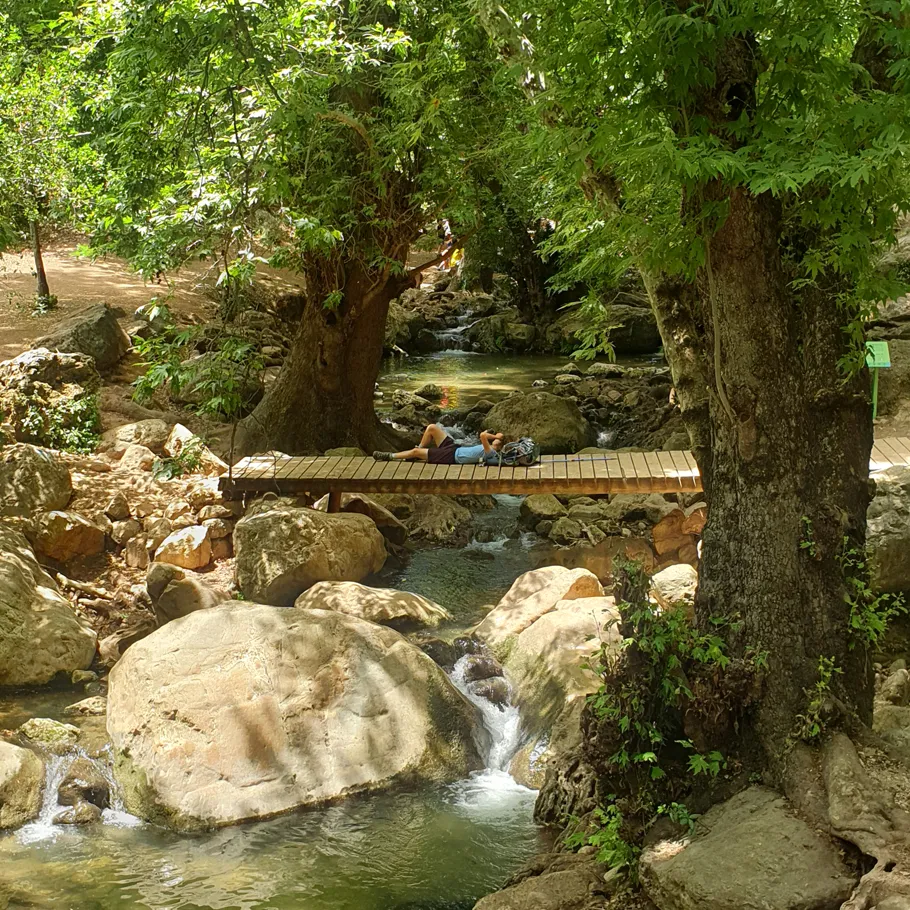 טרק בהר מצפה הימים ונחל עמוד טרק בהר מצפה הימים ונחל עמוד