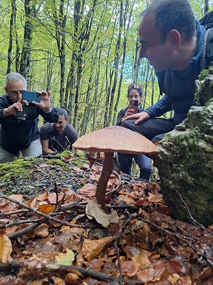 טרק פסגות הבלקן בסתיו - אלבניה, מונטנגרו וקוסובו