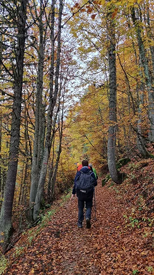 טרק פסגות הבלקן בסתיו - אלבניה, מונטנגרו וקוסובו