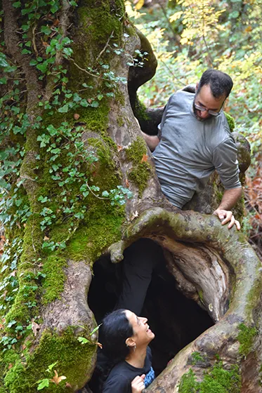 טרק בצפון יוון