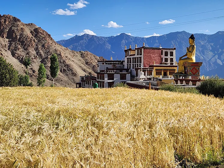 טרק בצפון הודו - מלה למנאלי