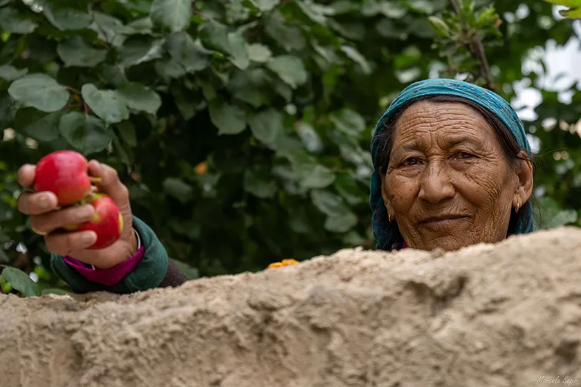 טרק בצפון הודו - מלה למנאלי