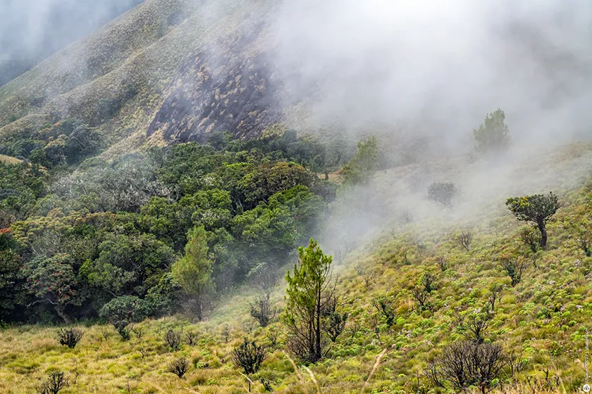 טרק בדרום הודו - מסע אל הלב של קרנטקה