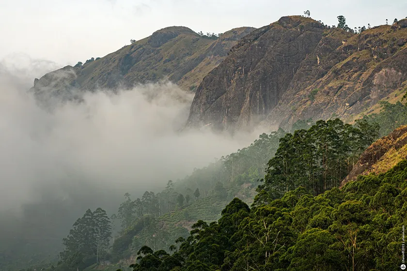 טרק בדרום הודו - מסע אל הלב של קרנטקה
