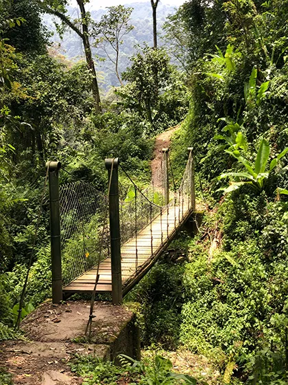 טרק ברכס הרוונזורי, אוגנדה