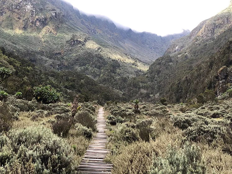 טרק ברכס הרוונזורי, אוגנדה