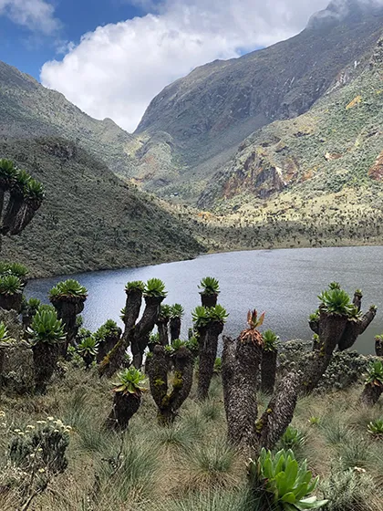 טרק ברכס הרוונזורי, אוגנדה