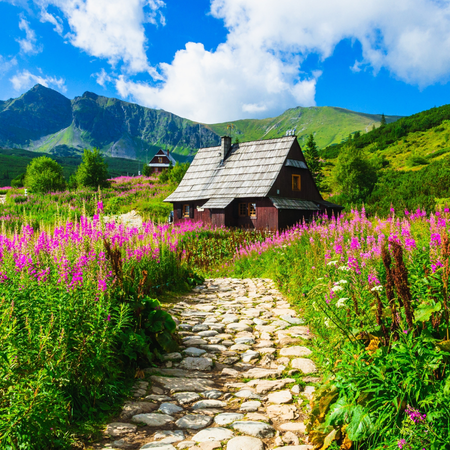טרק בסלובקיה ופולין