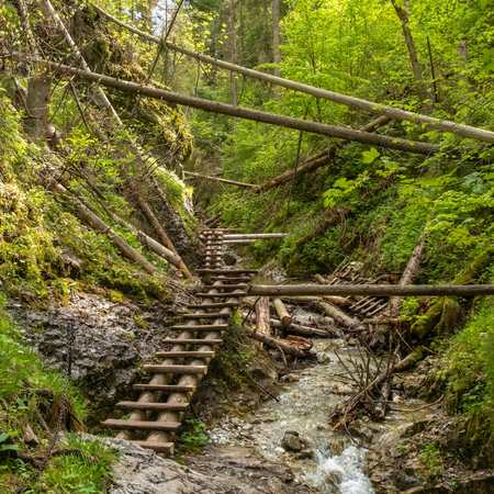 טרק בסלובקיה פולין - טטרה