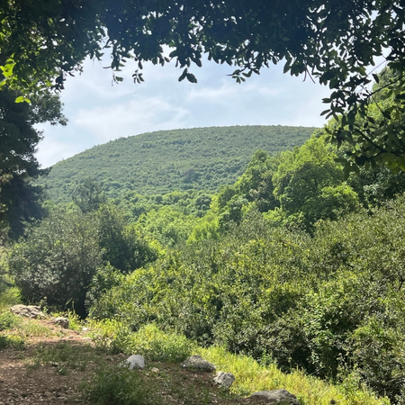 טרק אקסטרים בכרמל טרק אקסטרים בכרמל