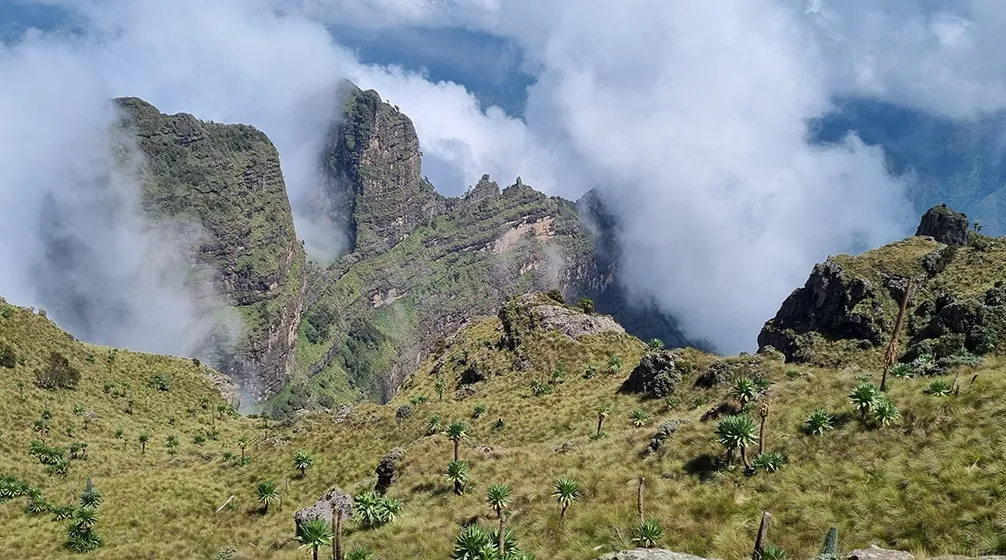 טרק באתיופיה