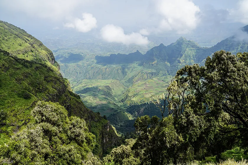 טרק באתיופיה